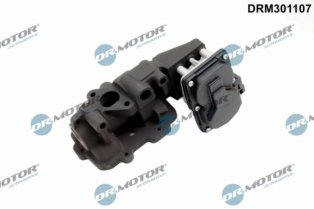 EGR Valve